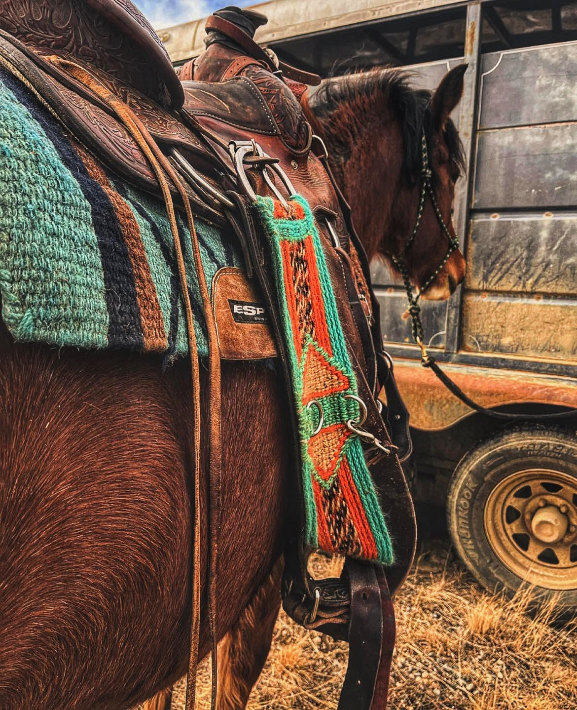 Aspen Cok Custom Tack Set