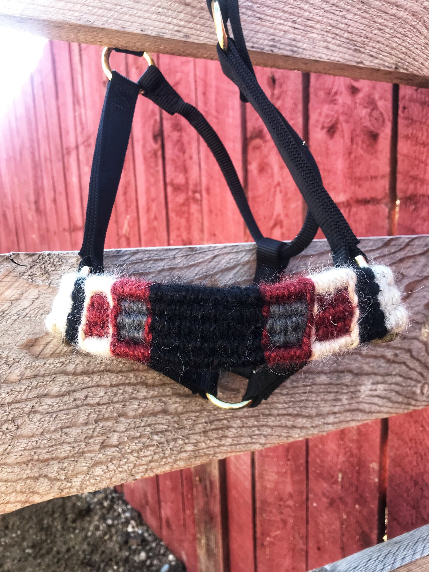 Black Halter with custom noseband