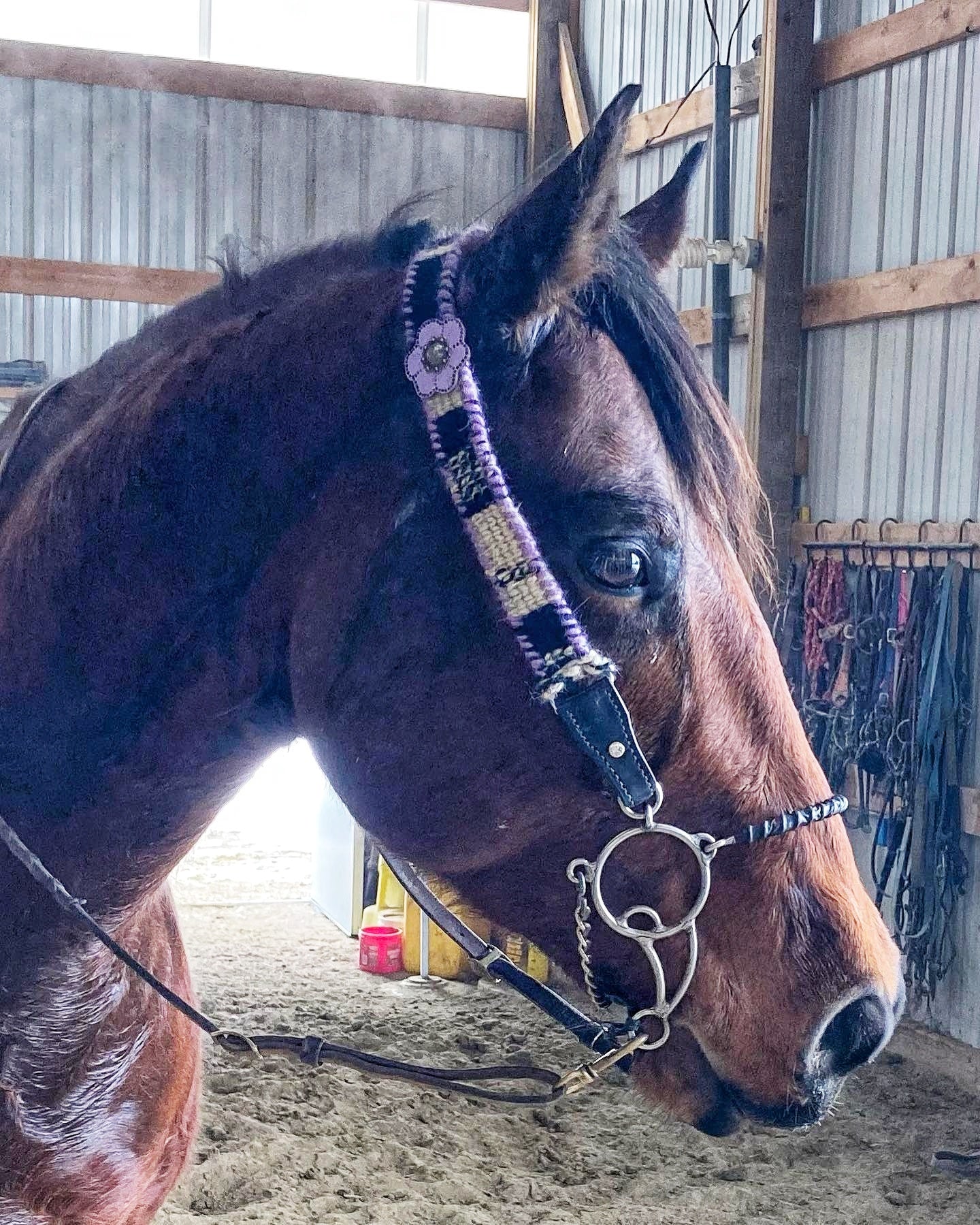1/2 down deposit- custom breast collar & cinch to match cactus headstall